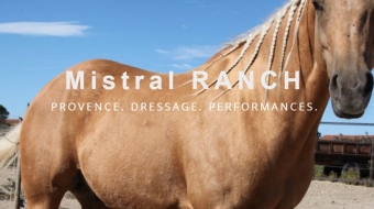 0-Mistral Ranch