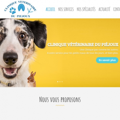 0-clinique veterinaire du piejoux